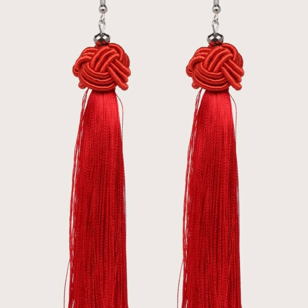 Red Tassel Earrings 25$